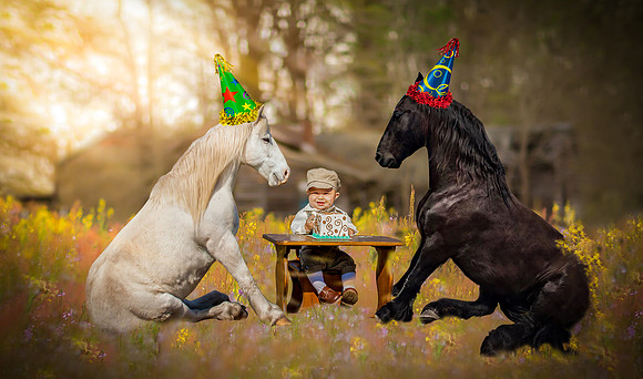 2  horses whats and cake_edited-2-Edit-Edit-Edit-2