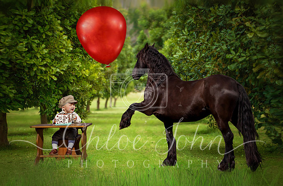 Horse with balloon