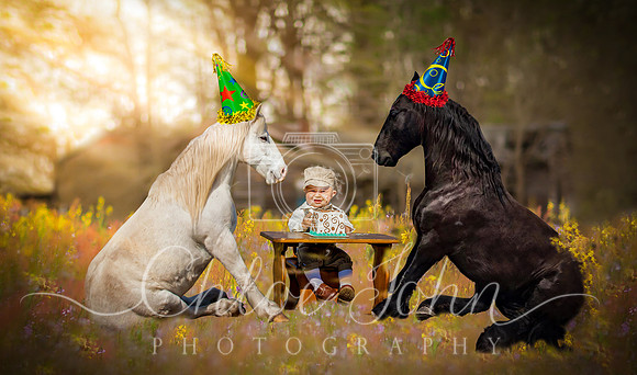 Horses with cake