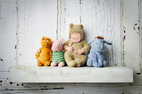 CCbearon shelf