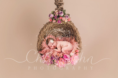 lilly-Edit-Edit